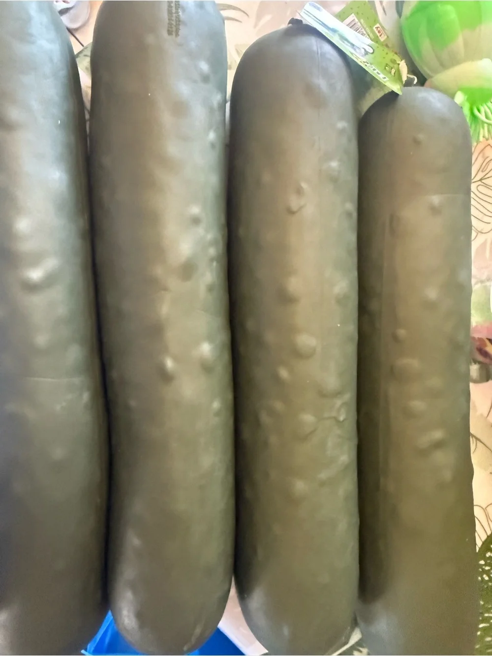 Pickle Plush Squeaky Toy - 4 available